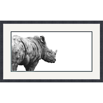 BEYOND THE HORIZON (RHINO)