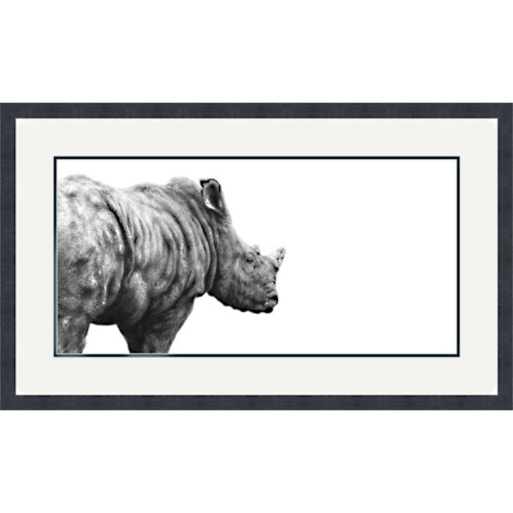BEYOND THE HORIZON (RHINO)
