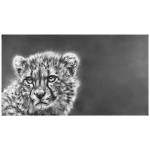 BORN TO RUN (CHEETAH)