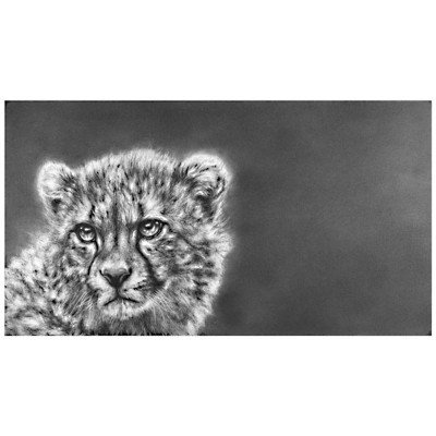BORN TO RUN (CHEETAH)
