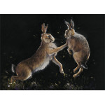 Bun Fight - (LGE)