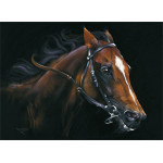 By A Nose (Racehorse) - SML