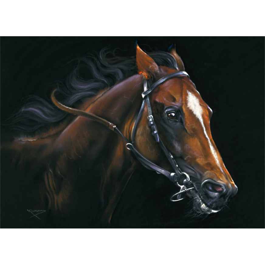 By A Nose (Racehorse) - SML