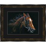 By A Nose (Racehorse) - SML