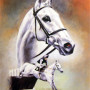 Desert Orchid - Caroline Cook