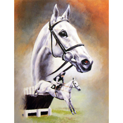 Desert Orchid - Caroline Cook