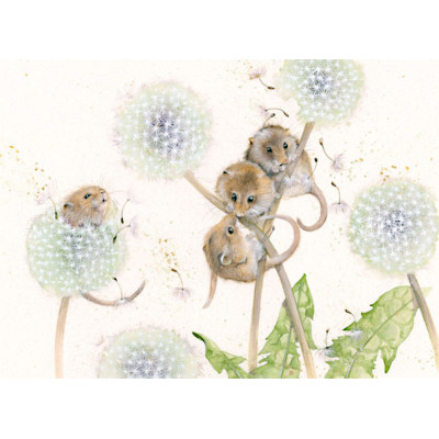 The Dandy Line (Dormouse)