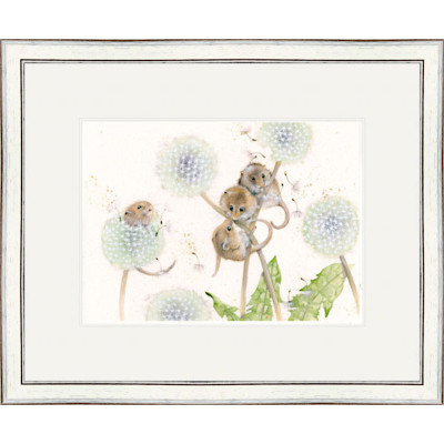The Dandy Line (Dormouse)