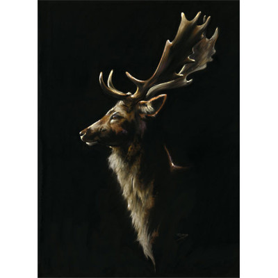 Dusk Till Dawn (Stag) LGE