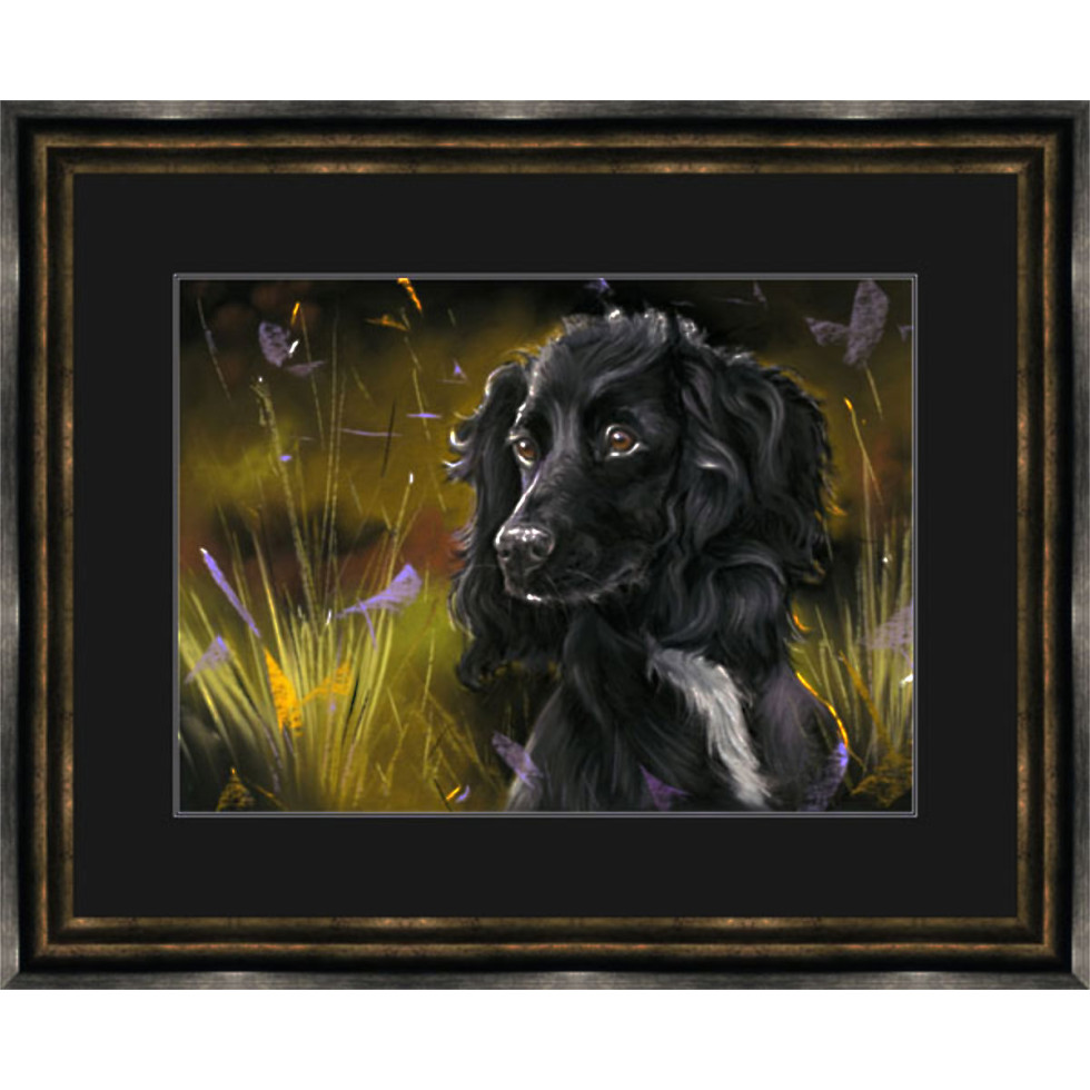 Field Game (Black Cocker) - LGE