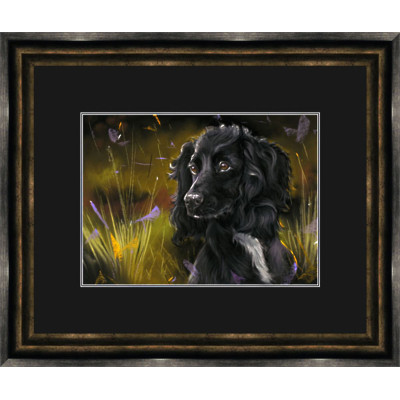 Field Game (Black Cocker) - SML