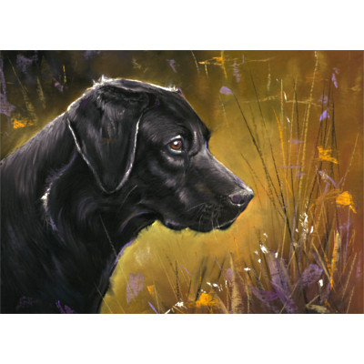 Game Boy (Black Labrador) - SML