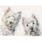 Go West (Westie)