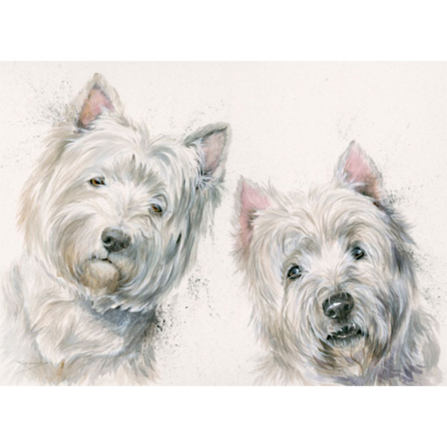 Go West (Westie)