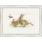 Great Escape (Hares)