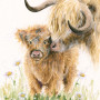 I Love Moo (Highland Cows)