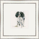 Jasper (Springer)