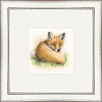 Just Shy of Sly (Fox Cub)