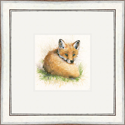 Just Shy of Sly (Fox Cub)