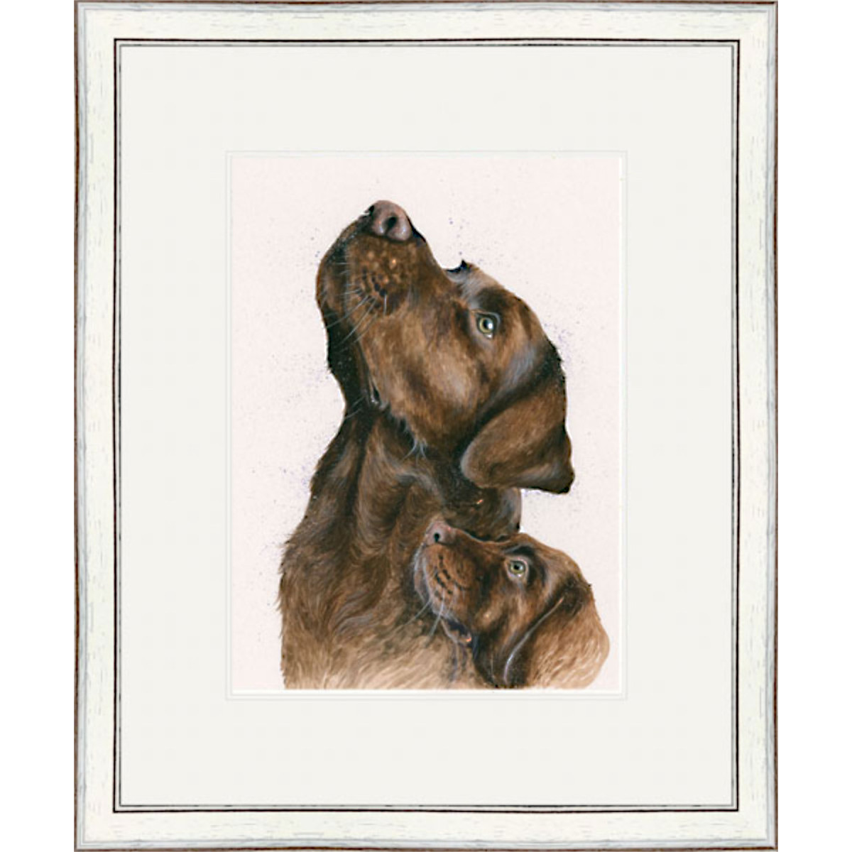 Lab Assistant - Chocolate Labradors