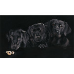 Jammie Dodgers (Black Labradors) (Lge)