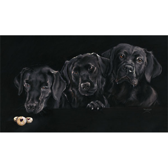 Jammie Dodgers (Black Labradors) (Lge)