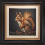 LITTLE RED - SQUIRREL