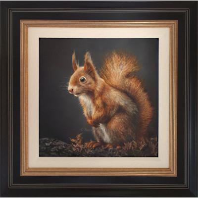 LITTLE RED - SQUIRREL