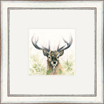 LORD KNOWS (STAG)