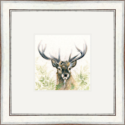 LORD KNOWS (STAG)