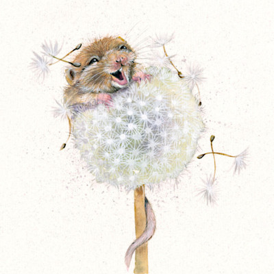 Make A Wish (Dormouse)