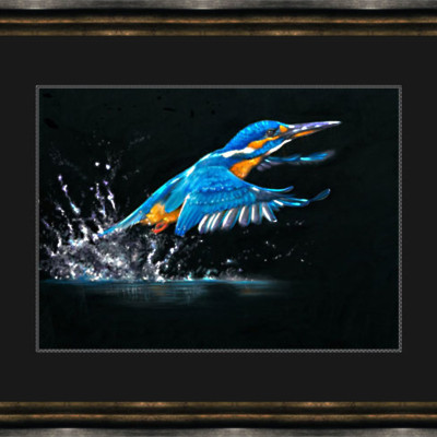 MAKING A SPLASH (KINGFISHER)
