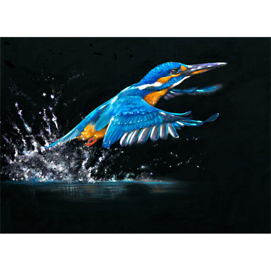 MAKING A SPLASH (KINGFISHER)