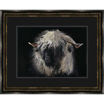 Miss Valais (Valais Ewe)