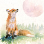 MOON SHADOW (FOX)