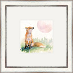 MOON SHADOW (FOX)