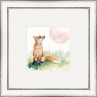 MOON SHADOW (FOX)