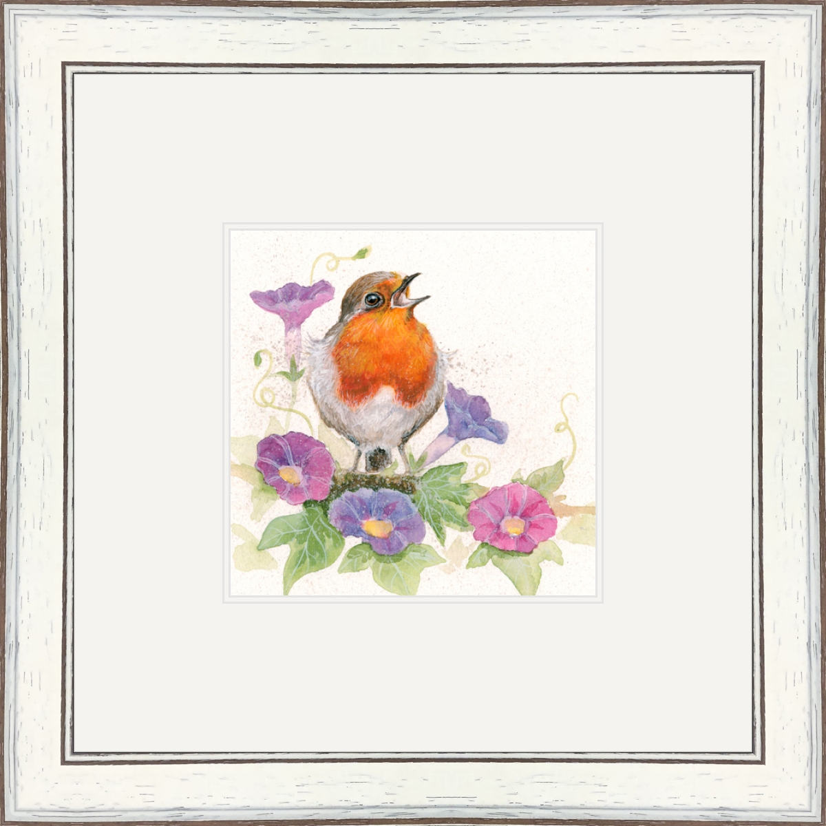 Morning Glory (Robin)