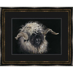 Mr Blacknose (Valais Ram)