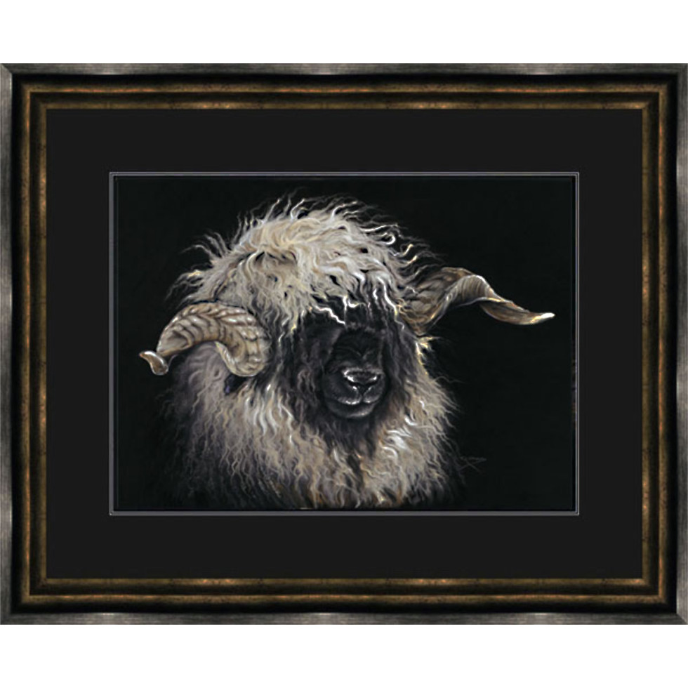 Mr Blacknose (Valais Ram)