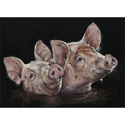 Mud Bath - Pigs