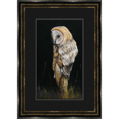 Last Post (Barn Owl)