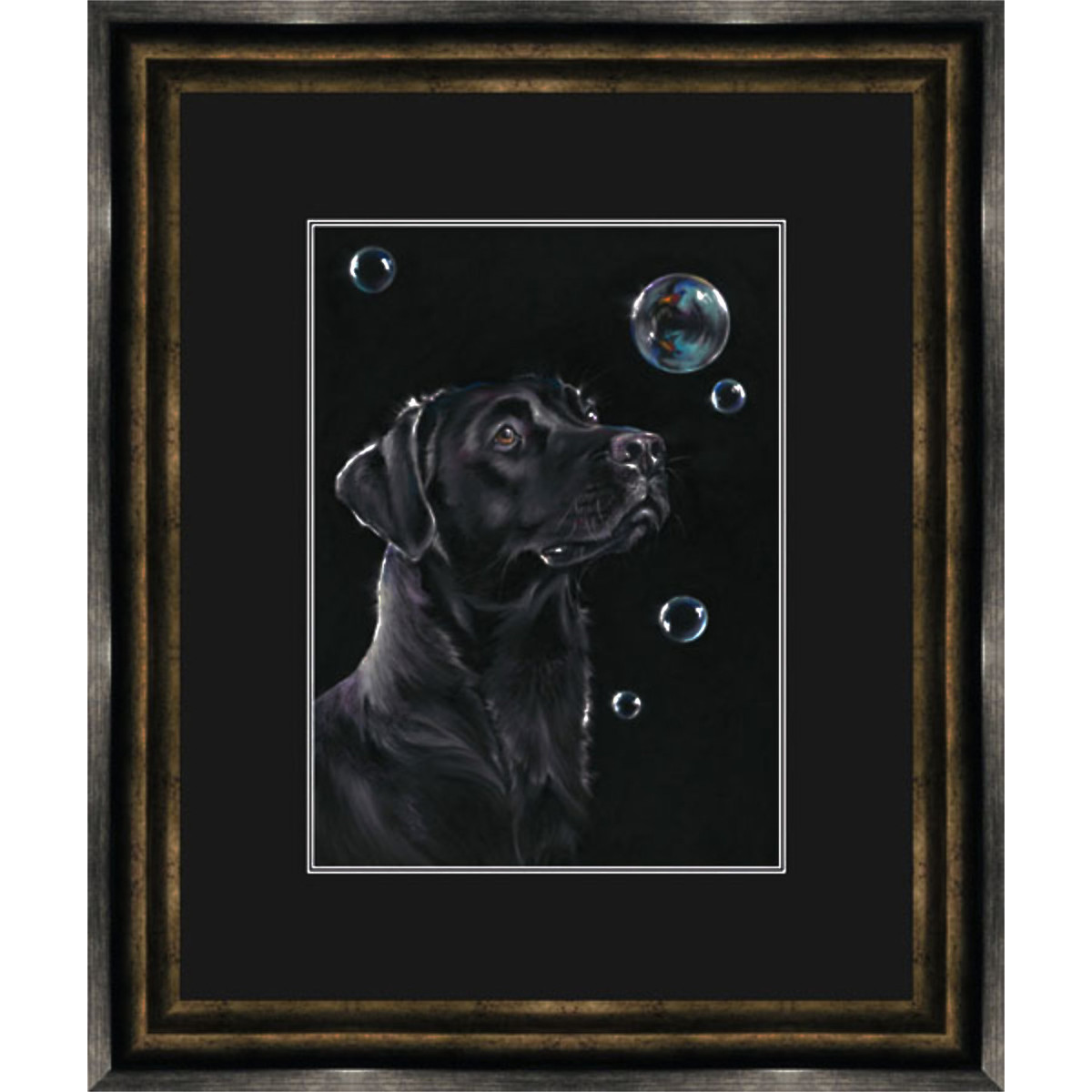 On Reflection (Black Lab) - SML