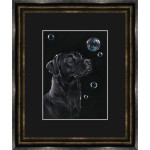 On Reflection (Black Lab) - SML