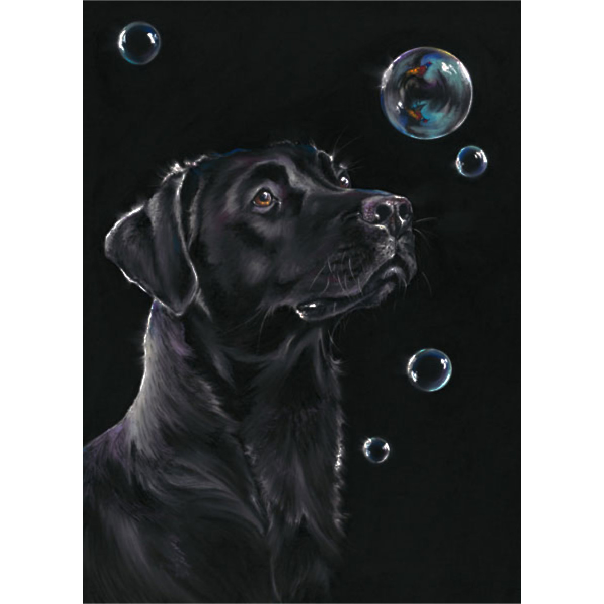 On Reflection (Black Lab) - SML