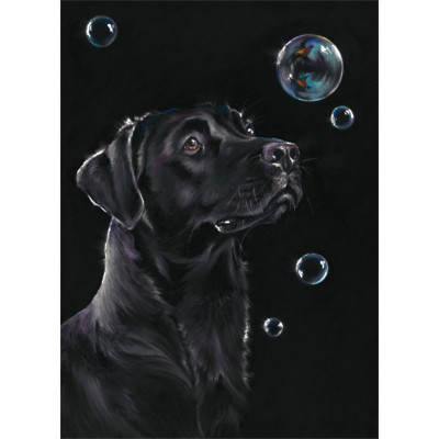 On Reflection (Black Lab) - LGE