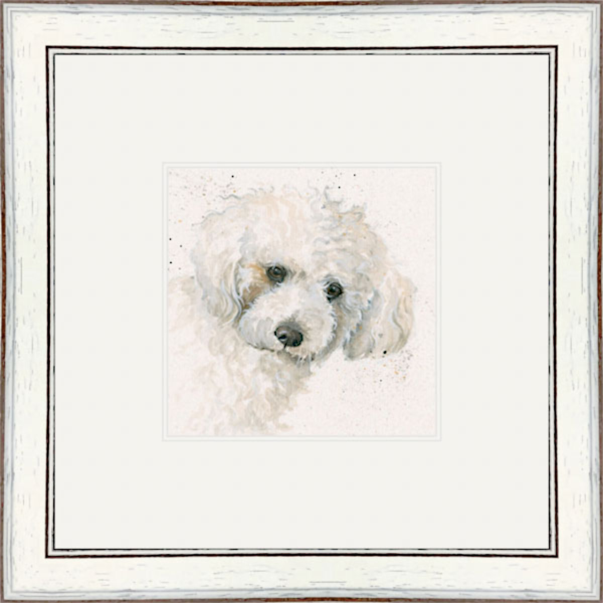 Oscar (Bichon Frise)