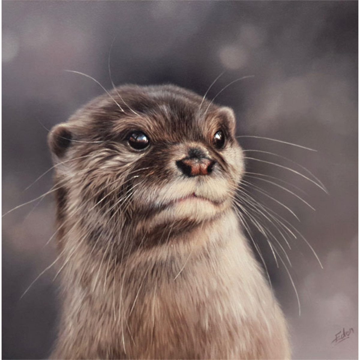The Lookout - Otter