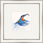 Out Of The Blue (Kingfisher)