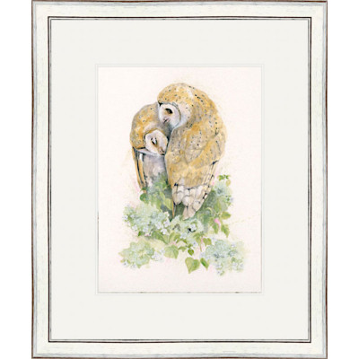 Owl Always Love You (Owls)